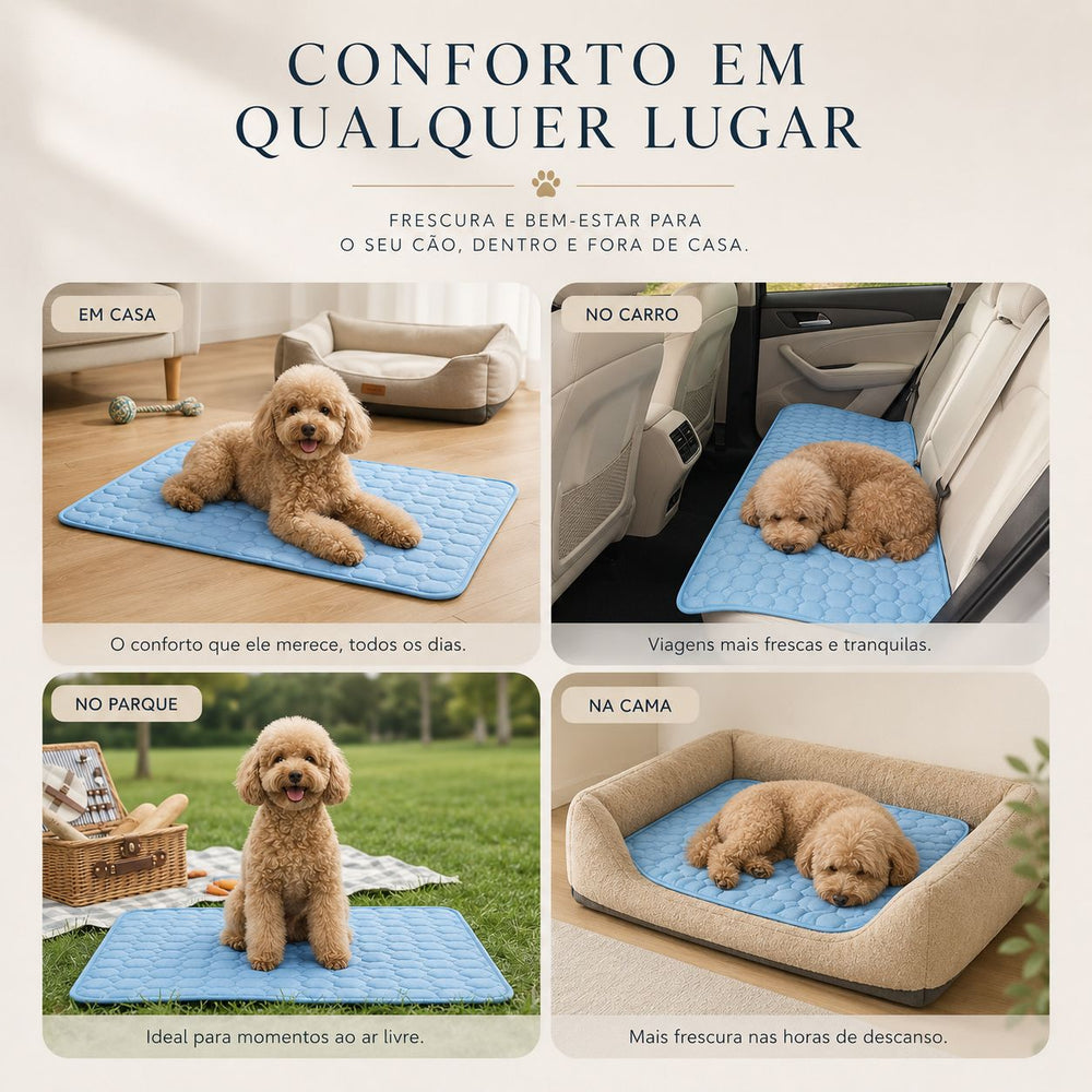 Cama Geladinha