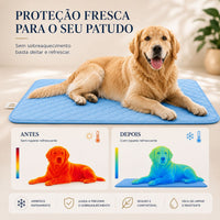 Cama Geladinha