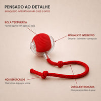 Caça-Bola